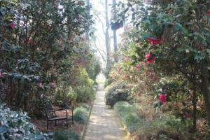 nature path
